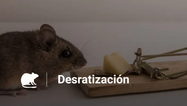 Desratización